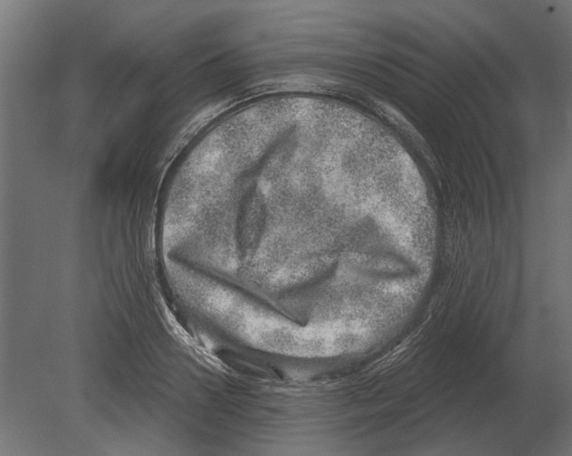 X0000080720938200701121840