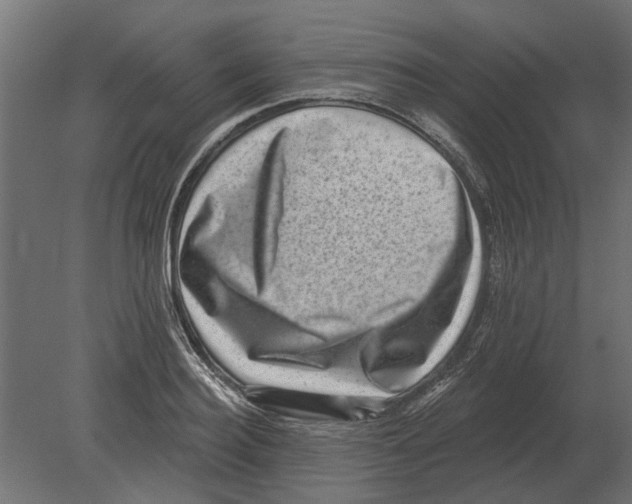 X0000080720940200701121840