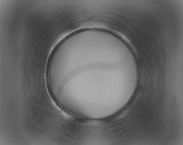 X0000080720943200701121840