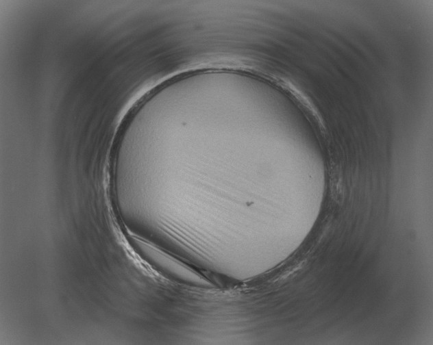 X0000080720944200701121840