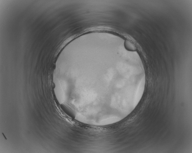 X0000080720945200701121840