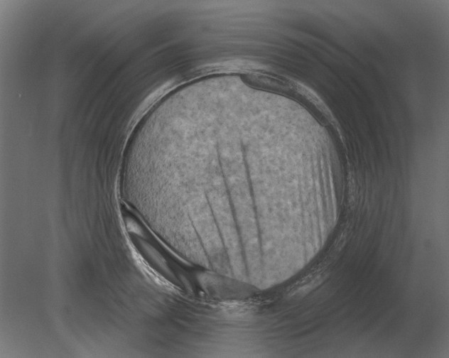 X0000080720946200701121840