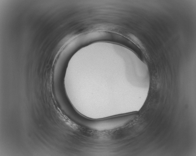 X0000080720948200701121840