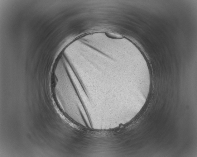 X0000080720949200701121840