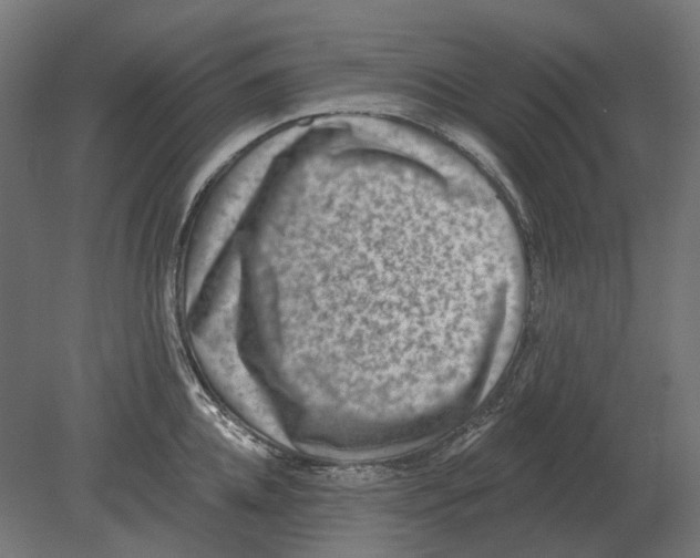 X0000080720952200701121840