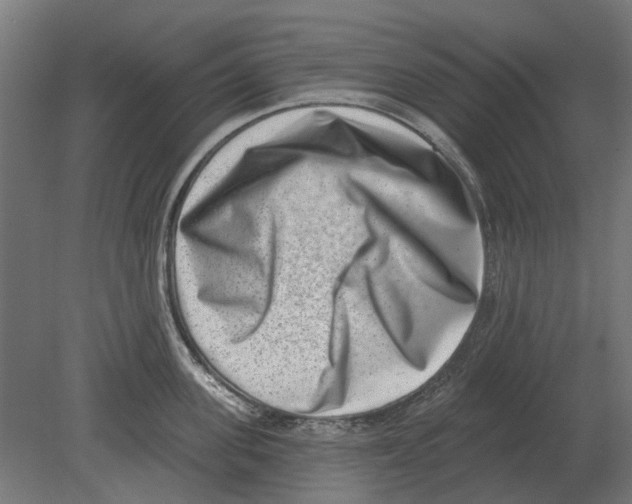 X0000080720955200701121840