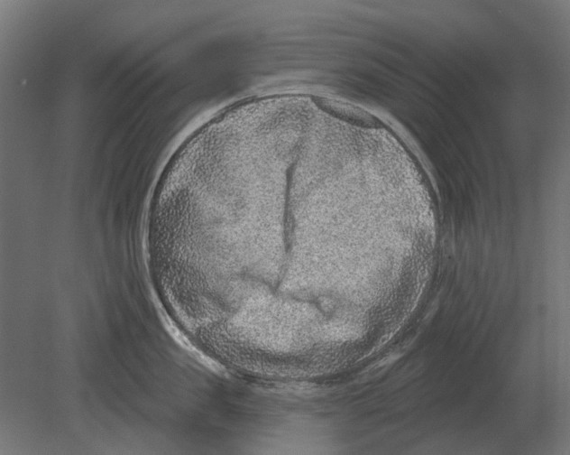 X0000080720957200701121840