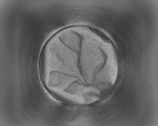 X0000080720959200701121840