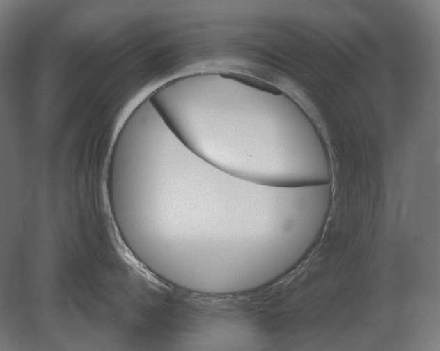 X0000080720960200701121840