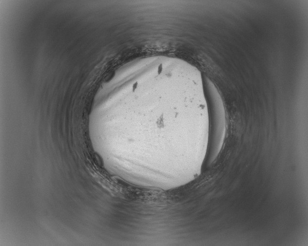 X0000080720961200701121839