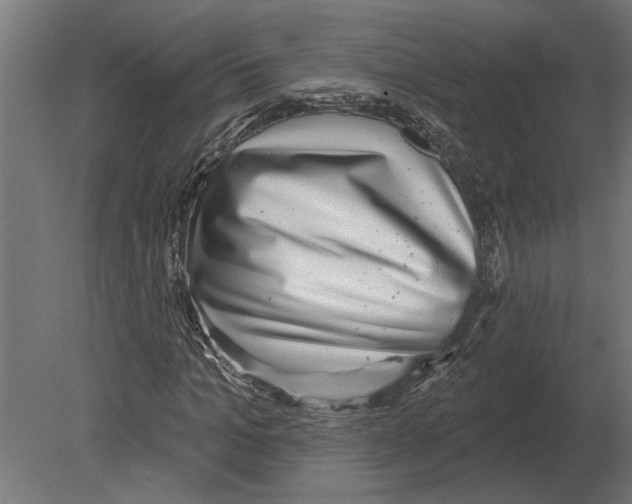 X0000080720965200701121839