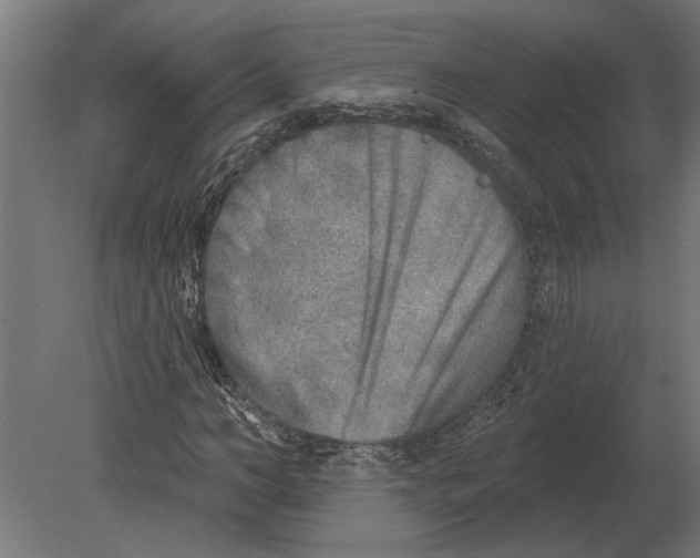 X0000080720966200701121839