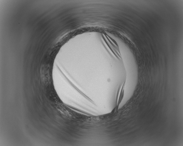 X0000080720968200701121839