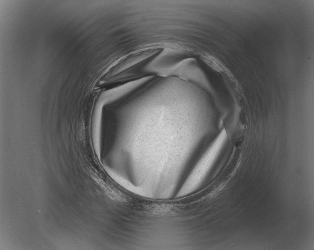 X0000080720969200701121839