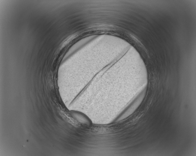 X0000080720970200701121839