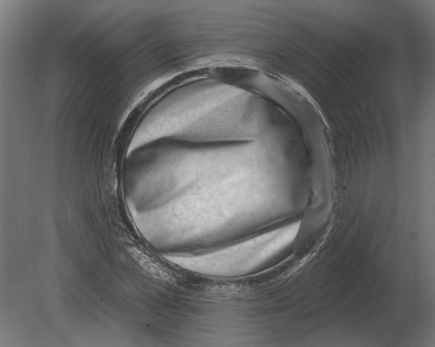 X0000080720973200701121839