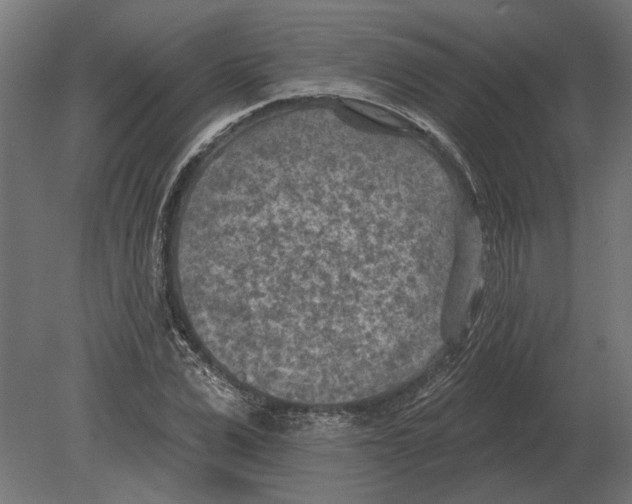 X0000080720975200701121839