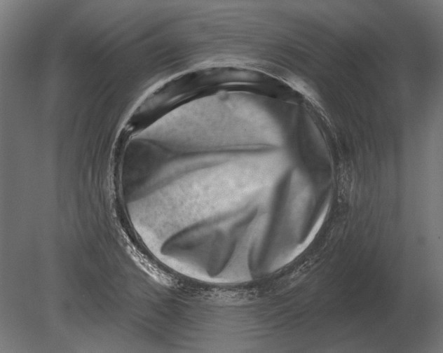 X0000080720976200701121839