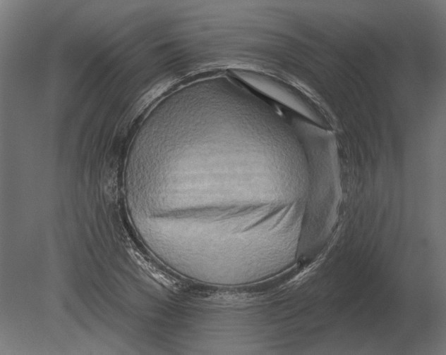 X0000080720977200701121839