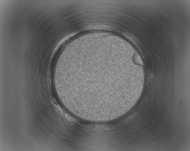 X0000080720979200701121839