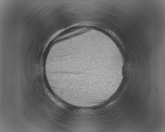 X0000080720981200701121839