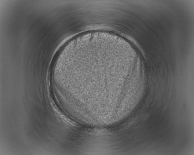 X0000080720983200701121839