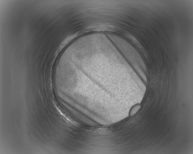 X0000080720986200701121839