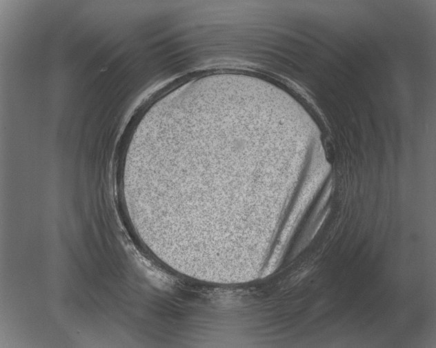 X0000080720987200701121839