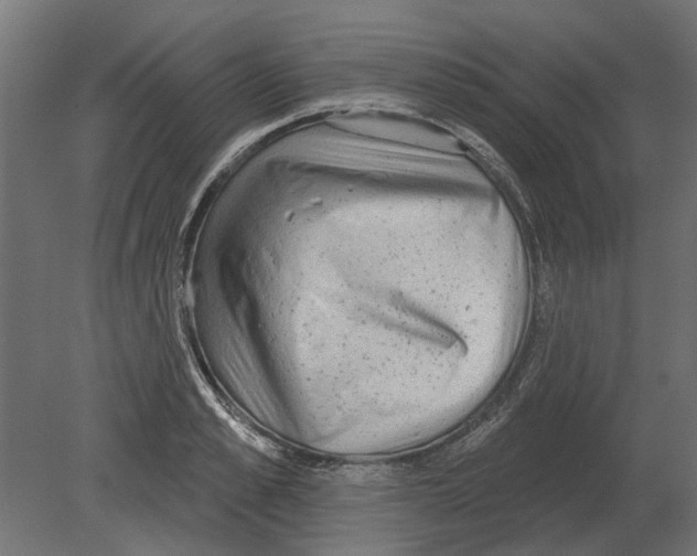 X0000080720989200701121839