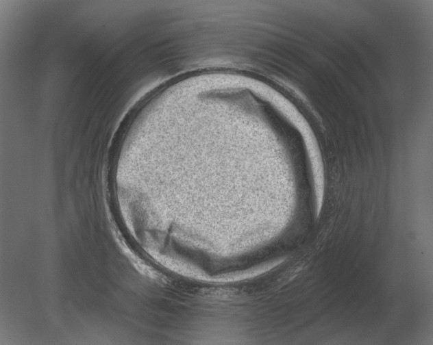 X0000080720991200701121839