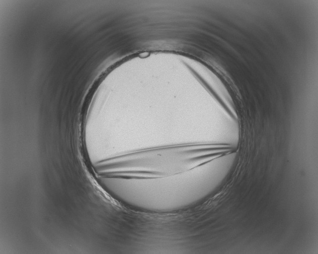 X0000080720992200701121839