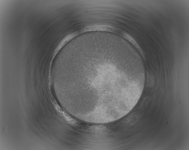 X0000080720994200701121839