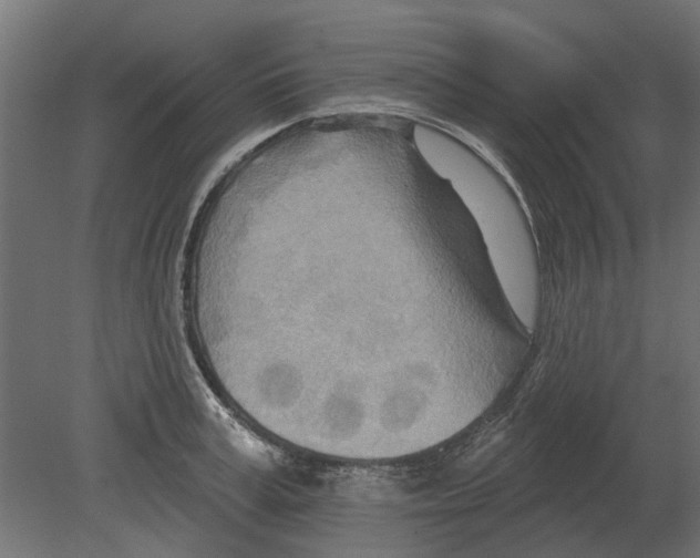 X0000080720995200701121839