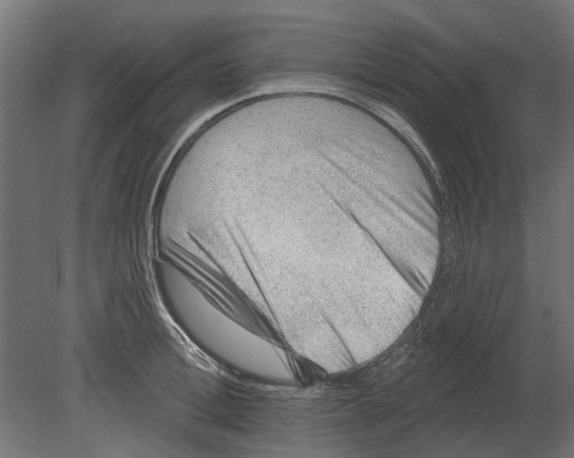 X0000080720996200701121839