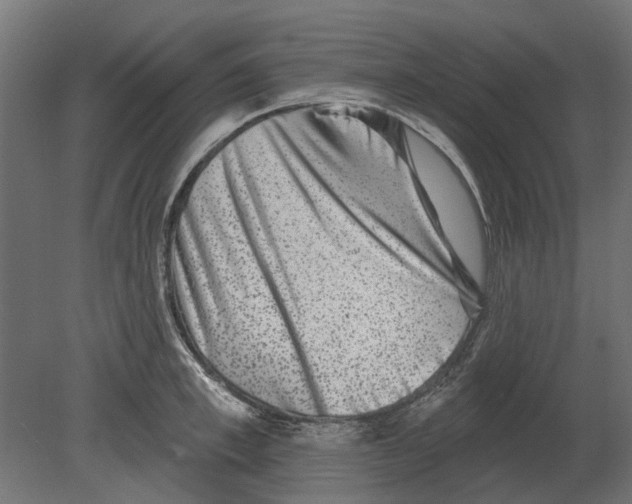 X0000080720997200701121839