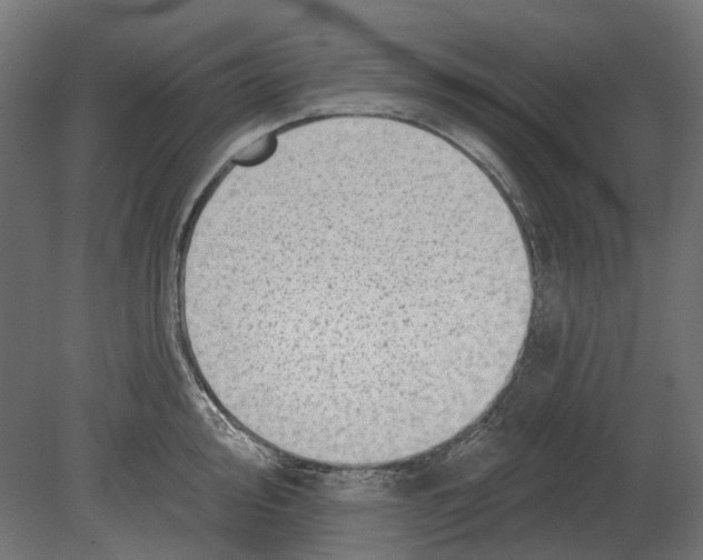 X0000080721000200701121839