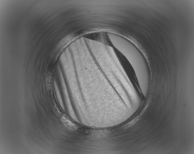 X0000080721001200701121839