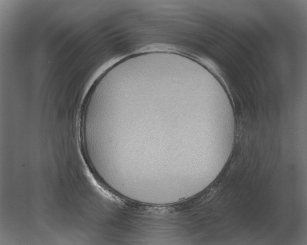 X0000080721003200701121839