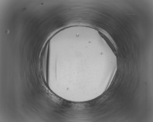 X0000080721004200701121839