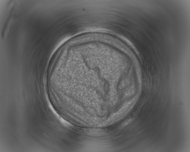 X0000080721007200701121839