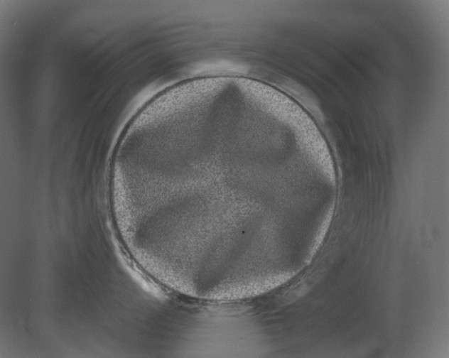 X0000080721008200701121839