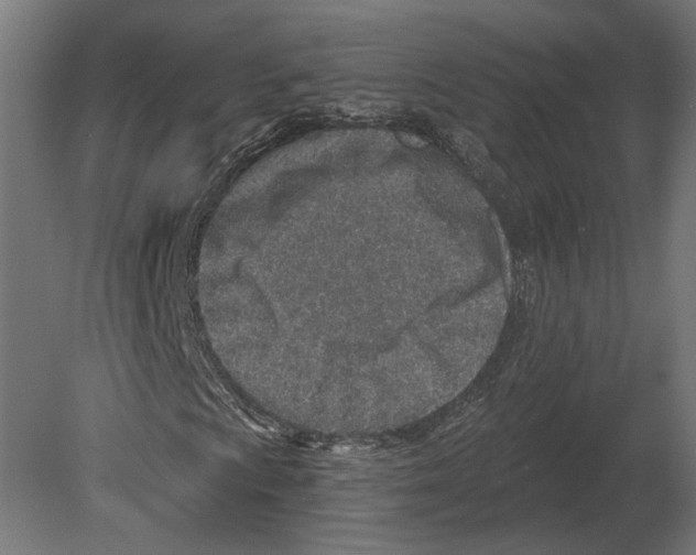 X0000080721009200701121838