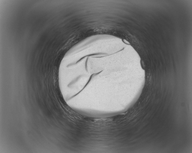 X0000080721012200701121838