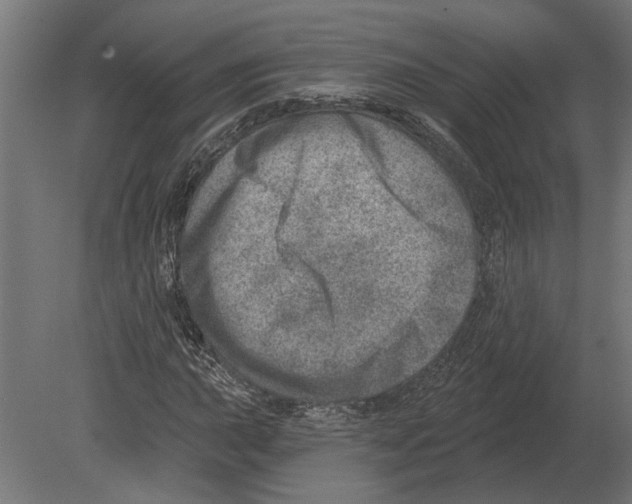 X0000080721015200701121838