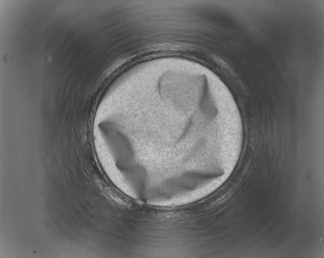 X0000080721017200701121838