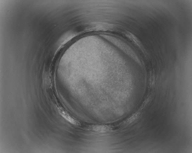 X0000080721018200701121838