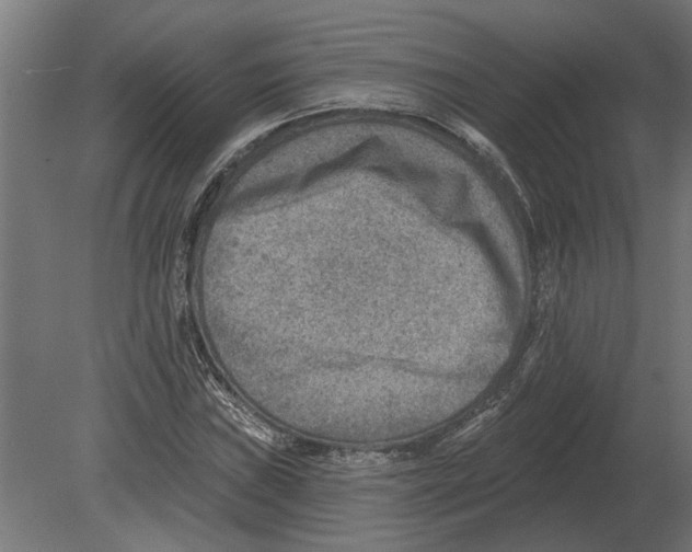 X0000080721019200701121838