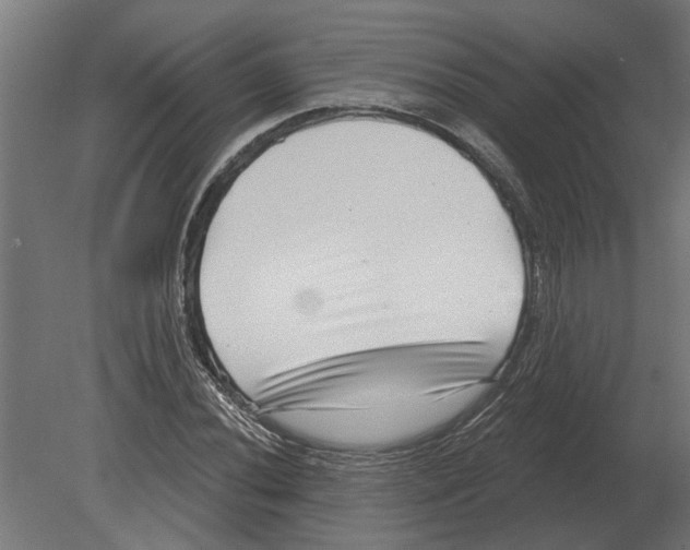 X0000080721020200701121838