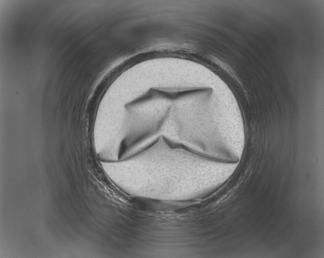 X0000080721021200701121838