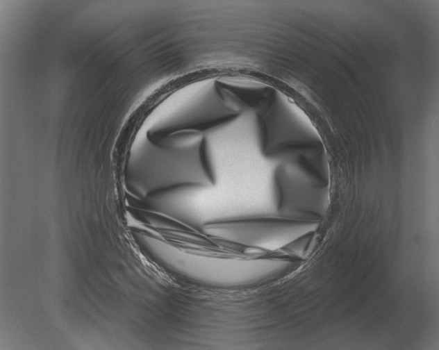 X0000080721022200701121838